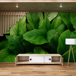 Tropical wallpaper, Calathea green leaves, leaf print wall mural, botanical wallpaper, Self Adhesive, Peel & Stick, Removable wallpaper
