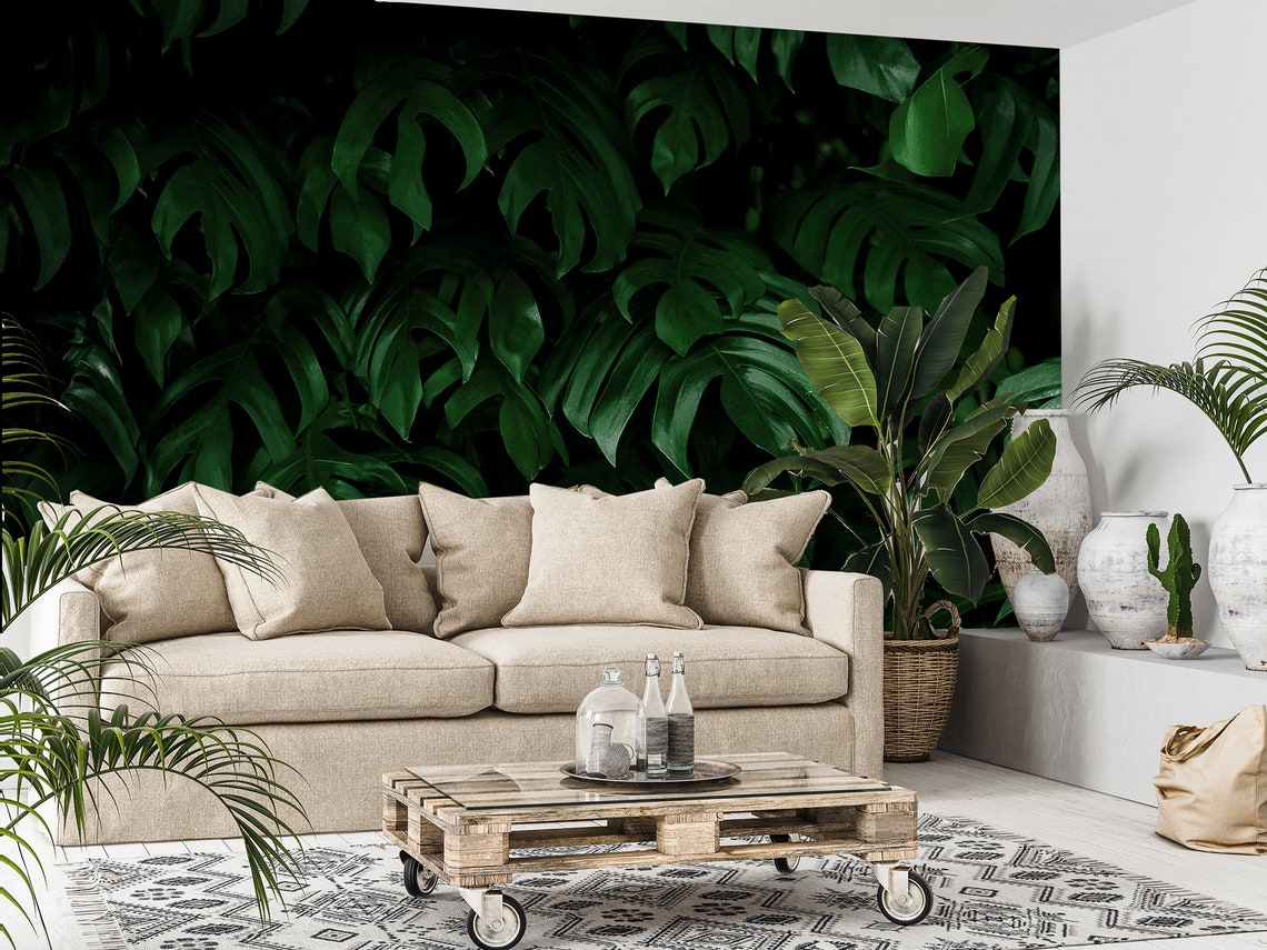 Dark Wallpaper With Fresh Monstera Leaves Self Adhesive - Etsy