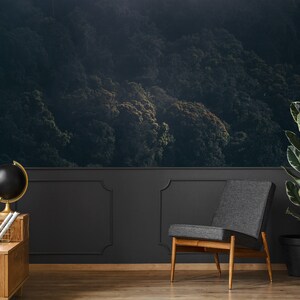 Foggy forest wallpaper, jungle wall mural,trees wallpaper, Self Adhesive, Peel & Stick, Removable wallpaper