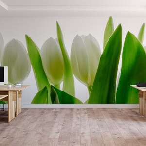 Photo de tulipe blanche et verte Papier peint | Auto-adhésif, Peel & Stick, papier peint amovible, décor mural vert