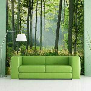 Carta da parati verde foresta al sole del mattino, murale, autoadesivo, decorazione da parete, staccare e incollare, murale temporaneo, rimovibile