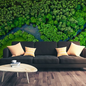 May include: A black sofa with three pillows, two orange and one yellow, sits in front of a wall mural depicting an aerial view of a forest with a winding river.