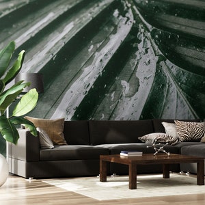 Macro photo of tropical leaf wallpaper, jungle plant wall mural [Peel and Stick (Self Adhesive) or Traditional Vinyl Wallpaper]