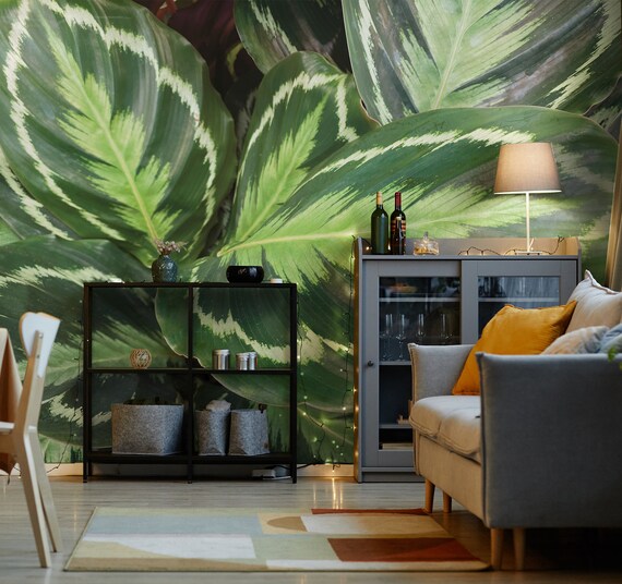 Calathea Roseoptica Medallion Patterned Tropical Leaves Wallpaper [wall  Decor, Peel and Stick (self Adhesive) or Non-stick Wallpaper] - Etsy