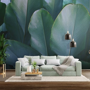 Dunkles Calathea-Wandbild mit tropischen Blättern, grüne Blätter-Fototapete [Abziehen und Aufkleben (selbstklebend) oder traditionelle Vinyl-Tapete]