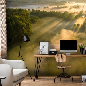 Wallpaper with sunny landscape, Sunbeams on river, nature aerial view, Wall Mural, Self Adhesive, Peel & Stick, Removable wallpaper