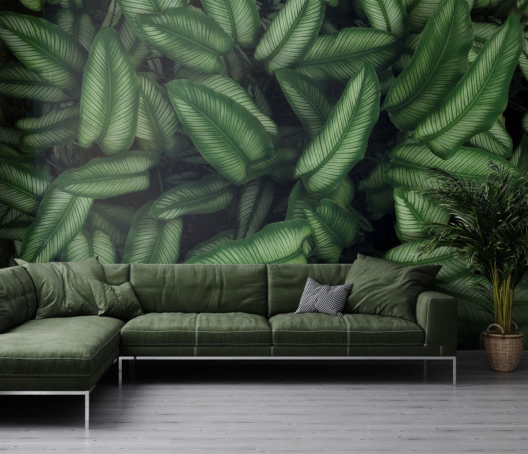 Dark Green Leaves Wallpaper, Leaf Print, Tropical Plant Wall Mural wall