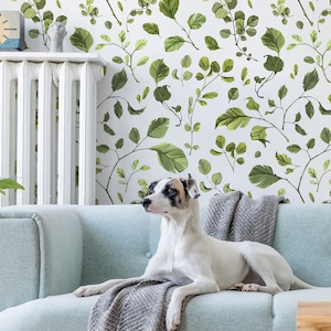 Puede incluir: Un perro blanco con manchas marrones está acostado en un sofá azul claro frente a una pared blanca con un patrón de hojas verdes. El perro está mirando hacia la izquierda de la imagen.