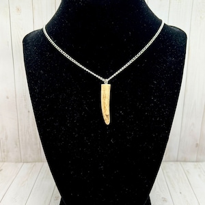 Real Deer Antler Tip Necklace