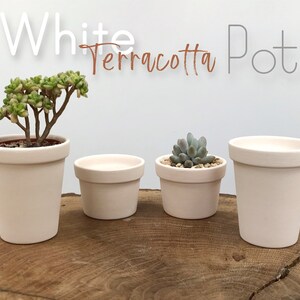 Vintage Hand Thrown Terracotta Pots. All Showing Signs of Age Salts, Moss,  Dirt. Tactile and Individual Clay Pots. 