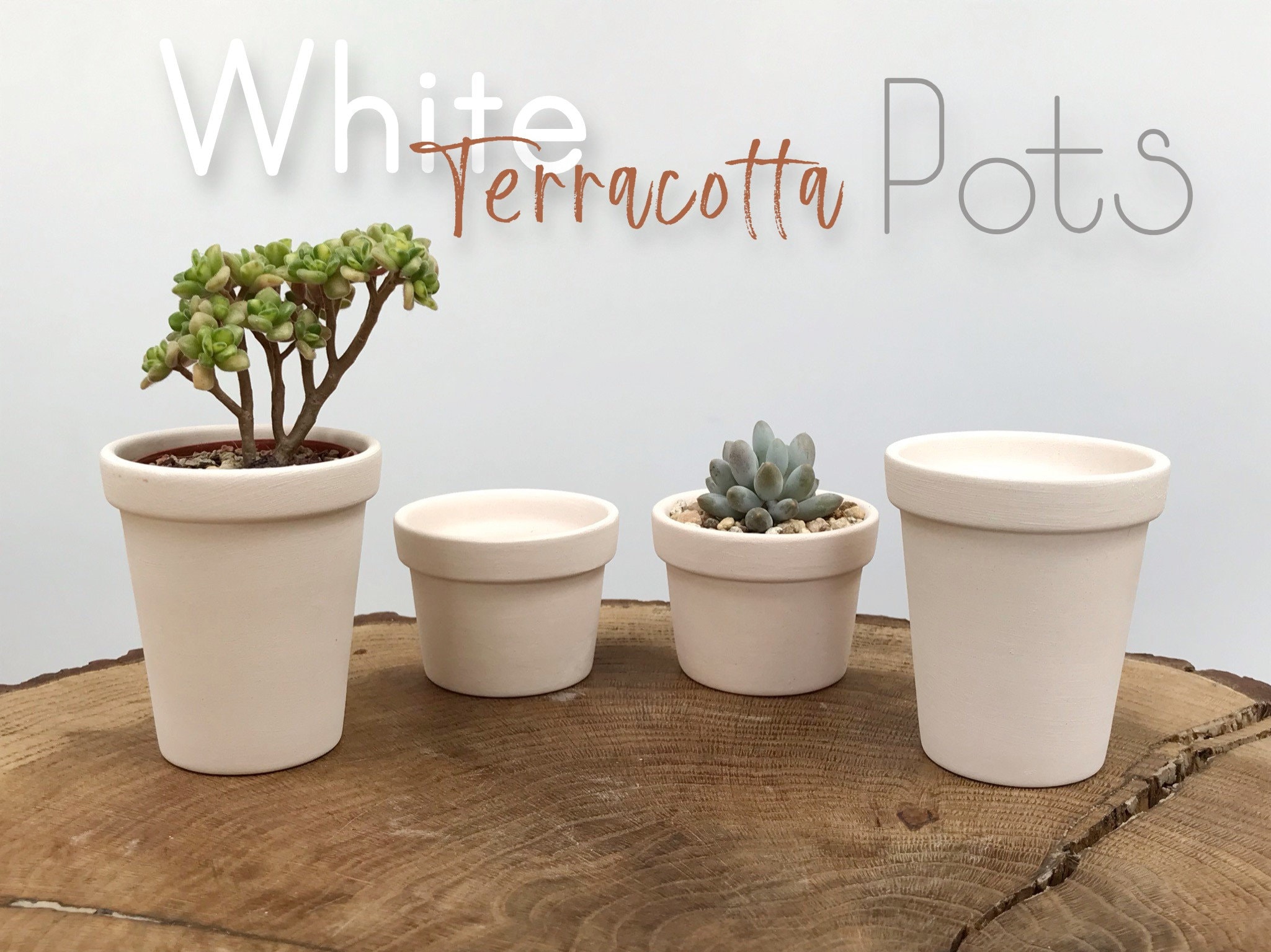 TERRA Pot avec plante blanc, vert H 19 cm - Ø 6 cm