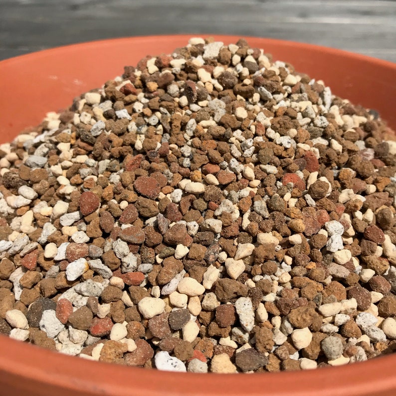 Succulents/cacti Soil Mix 3 Litres Super Gritty Soiless & Etsy India