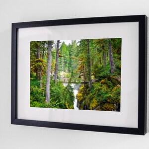 Mossy Forest Bridge Print, Digital Download, Printable Wall Art, Outdoor Photography, Nature, Trees, Digital Print, Wilderness, Washington