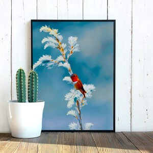 Hummingbird Print, Digital Download, Printable Wall Art, Washington State, Rufous Hummingbird, Photography, Nature, Wildlife, Wilderness