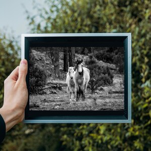 Wild Horse Photography, Digital Download, Printable Wall Art, Nature, Wilderness, Wildlife Photography, Digital Print, Horse Photography