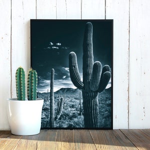 Arizona Desert Print, Digital Download, Southwestern Wall Art, Saguaro Print, Printable Wall Art, Desert Photography, Cactus Print