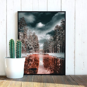 Winter Scene, Digital Print, Printable Wall Art, Download, Arizona Photography, Forest, Nature, Outdoor Photography, Trees