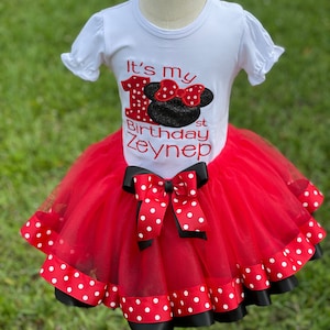 Girl Mouse First Birthday Outfit: Embroidered Shirt & Tutu