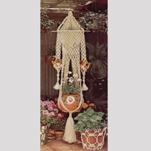 May include: A macrame plant hanger with three pots, two smaller pots with flowers and one larger pot with white flowers. The hanger is made of natural colored cord and has a tassel at the bottom.
