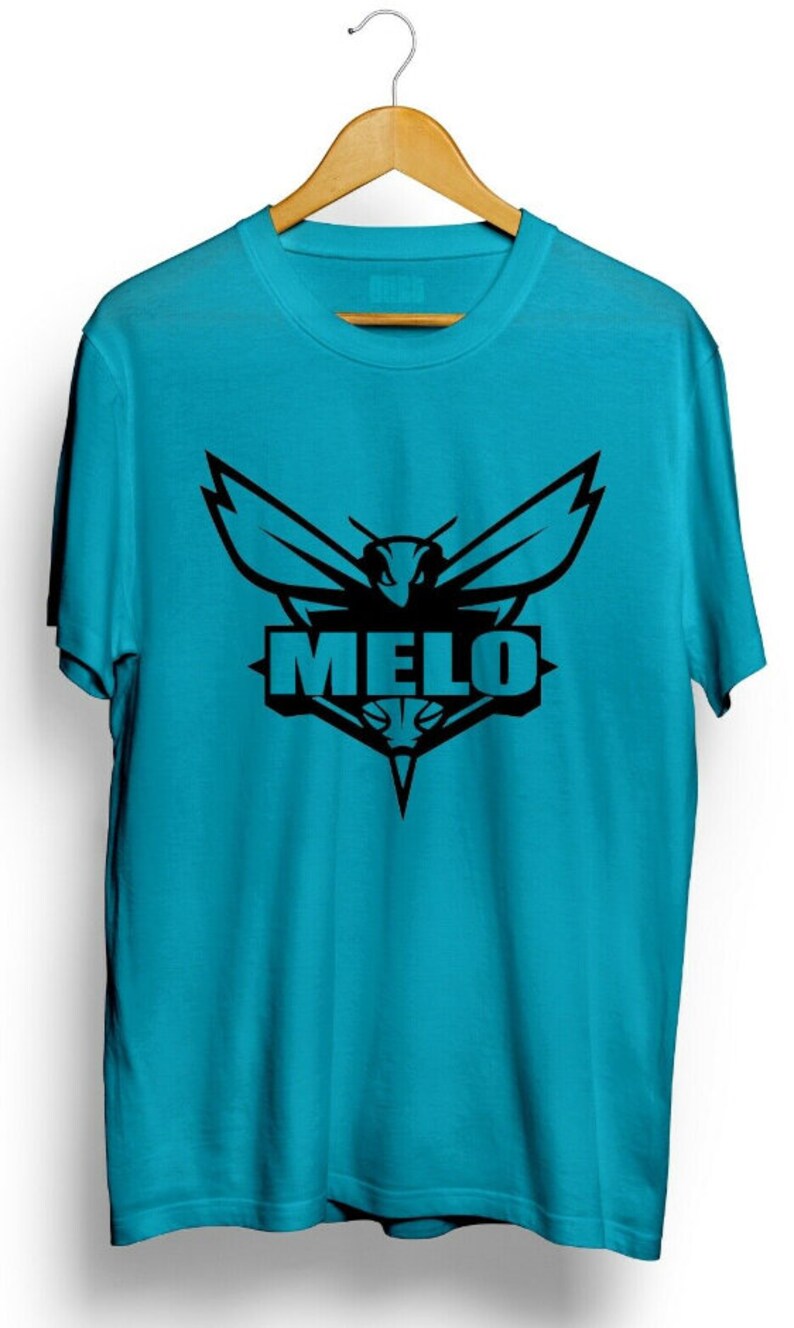 LaMelo Ball Charlotte Hornets T-Shirt Vintage T-shirt | Etsy