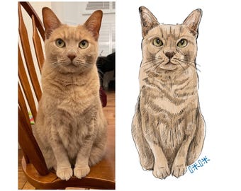 Retrato personalizado de mascota a partir de una foto / Arte digital personalizado de perro o gato (descarga digital)