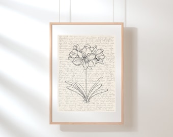 Amaryllis Wall Art | Floral Wall Art | Wildflower Print | Amaryllis Poster | Botanical Print | Flower Illustration | Sketch | Digital Art