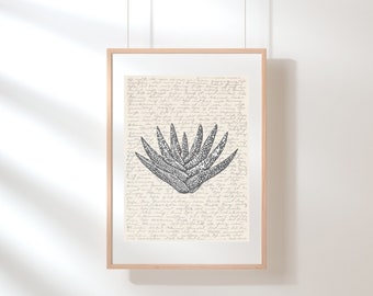 Arte de pared de aloe / Arte de pared suculento / Cartel de aloe / Impresión botánica / Ilustración suculenta / Boceto / Arte de boceto suculento de aloe digital