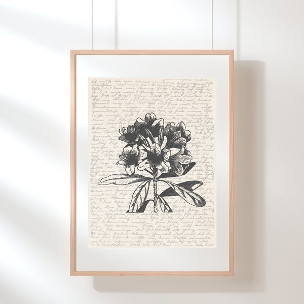 Rhododendron Wall Art | Flower Print Art | West Virginia, Washington State Flower | Rhododendron Poster | Botanical Print | Sketch | Digital