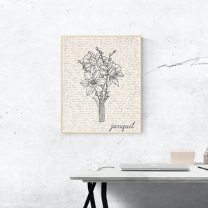 May include: A black and white line drawing of a bouquet of jonquils on a cream background with a handwritten script background. The word "jonquil" is written in black at the bottom of the image.