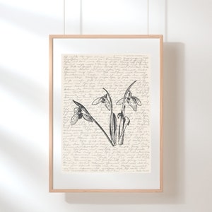 K&ouml;nnte beinhalten: Eine Schwarzwei&szlig;illustration von Schneegl&ouml;ckchen auf cremefarbenem Hintergrund mit handschriftlichem Text. Das Bild ist in einem hellen Holzrahmen gerahmt.