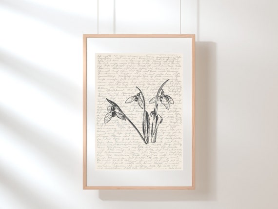 Snowdrop Wall Art | January Birth Flower Poster | Wildflower Print | Floral Illustration | Sketch | Digital Floral Art | Botanical Poster