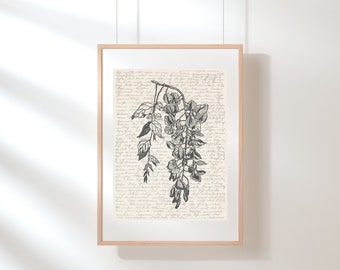 Wisteria Wall Art | Flower Print Art | Floral Wall Art | Wildflower Print | Wisteria Poster | Flower Poster | Botanical | Sketch | Digital