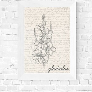 May include: A black and white line drawing of a gladiolus flower on a vintage background with handwritten text. The text at the bottom of the image reads "gladiolus".