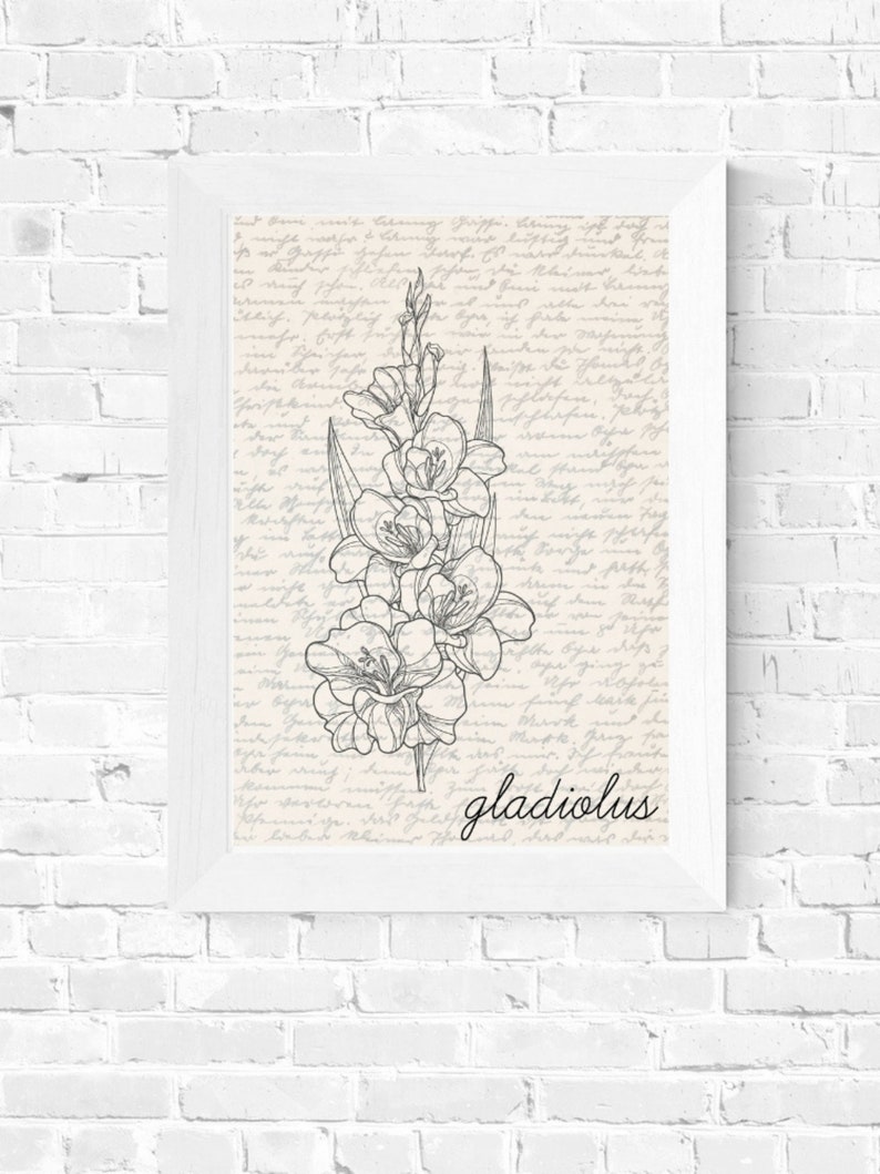 May include: A black and white line drawing of a gladiolus flower on a vintage background with handwritten text. The text at the bottom of the image reads "gladiolus".