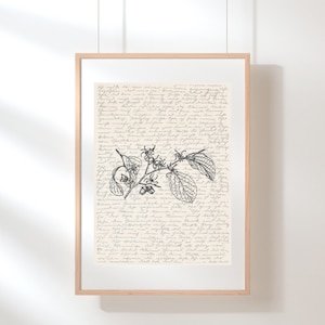 Witch Hazel Wall Art | Botanical Wall Art | Witch Hazel Print | Witch Hazel Poster | Illustration | Sketch | Digital Witch Hazel Wall Art