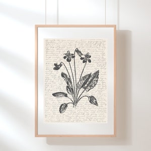 Violet Wall Art | Flower Print Art | Illinois, New Jersey, Rhode Island State Flower | Violet Poster | February Birth Flower | Sketch