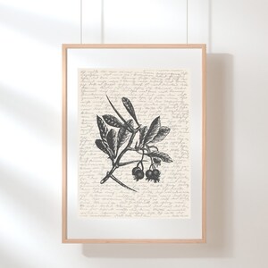 Hawthorn Wall Art | May Birth Flower | Tree Wall Art | Missouri State Flower | Tree Illustration | Sketch | Digital Print | Hawthorn Print