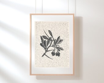 Arte de la pared del espino / Flor del nacimiento de mayo / Arte de la pared del árbol / Flor del estado de Missouri / Ilustración del árbol / Boceto / Impresión digital / Impresión del espino
