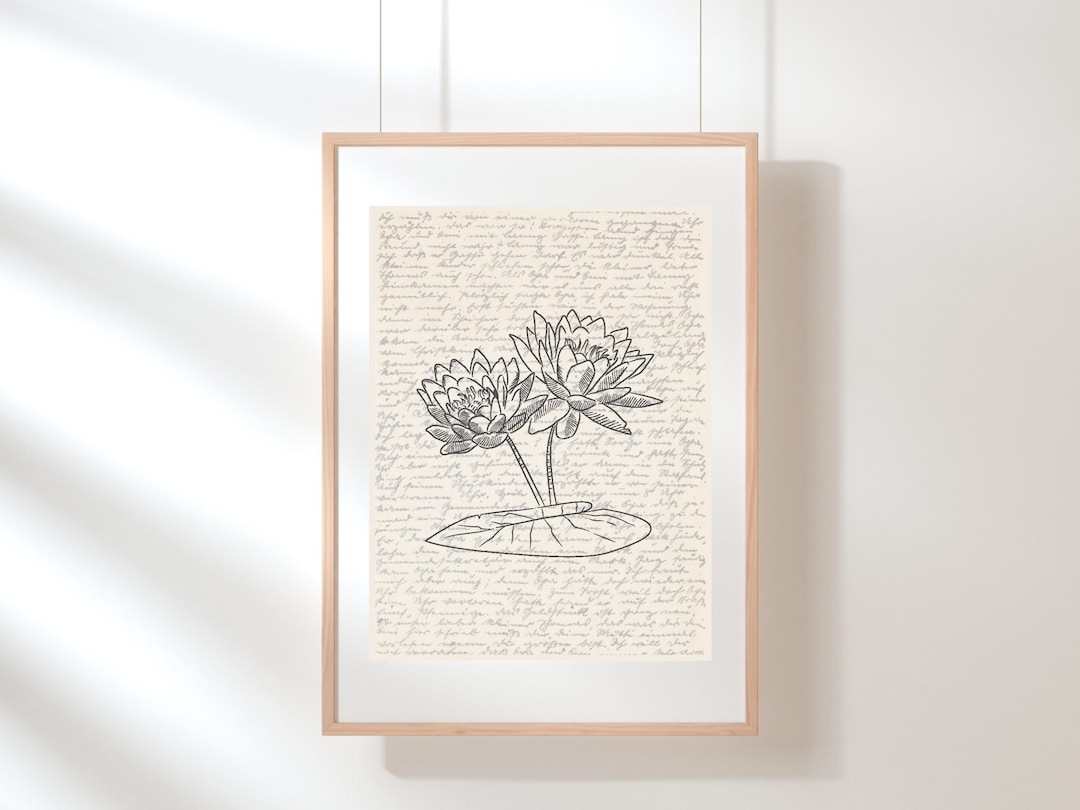 Water Lily Wall Art | July Birth Flower Poster | Botanical Print ...