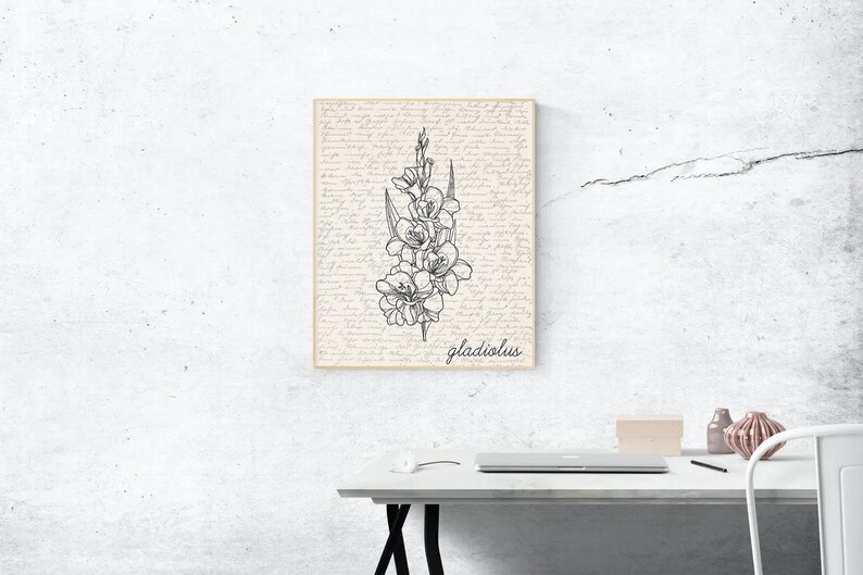 May include: A black and white line drawing of a gladiolus flower on a vintage-style background with the word "gladiolus" printed below the flower.