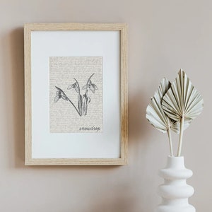 K&ouml;nnte beinhalten: Ein gerahmter Druck einer Vintage-botanischen Illustration von Schneegl&ouml;ckchen mit dem Wort "snowdrop" unter dem Bild. Der Druck h&auml;ngt an einer hellbeigen Wand neben einer wei&szlig;en Vase mit getrockneten Palmbl&auml;ttern.