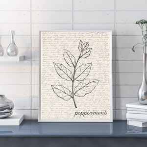 Peppermint Wall Art | Herb Wall Art | Peppermint Poster | Peppermint Print | Peppermint Illustration | Digital Peppermint Sketch Wall Art