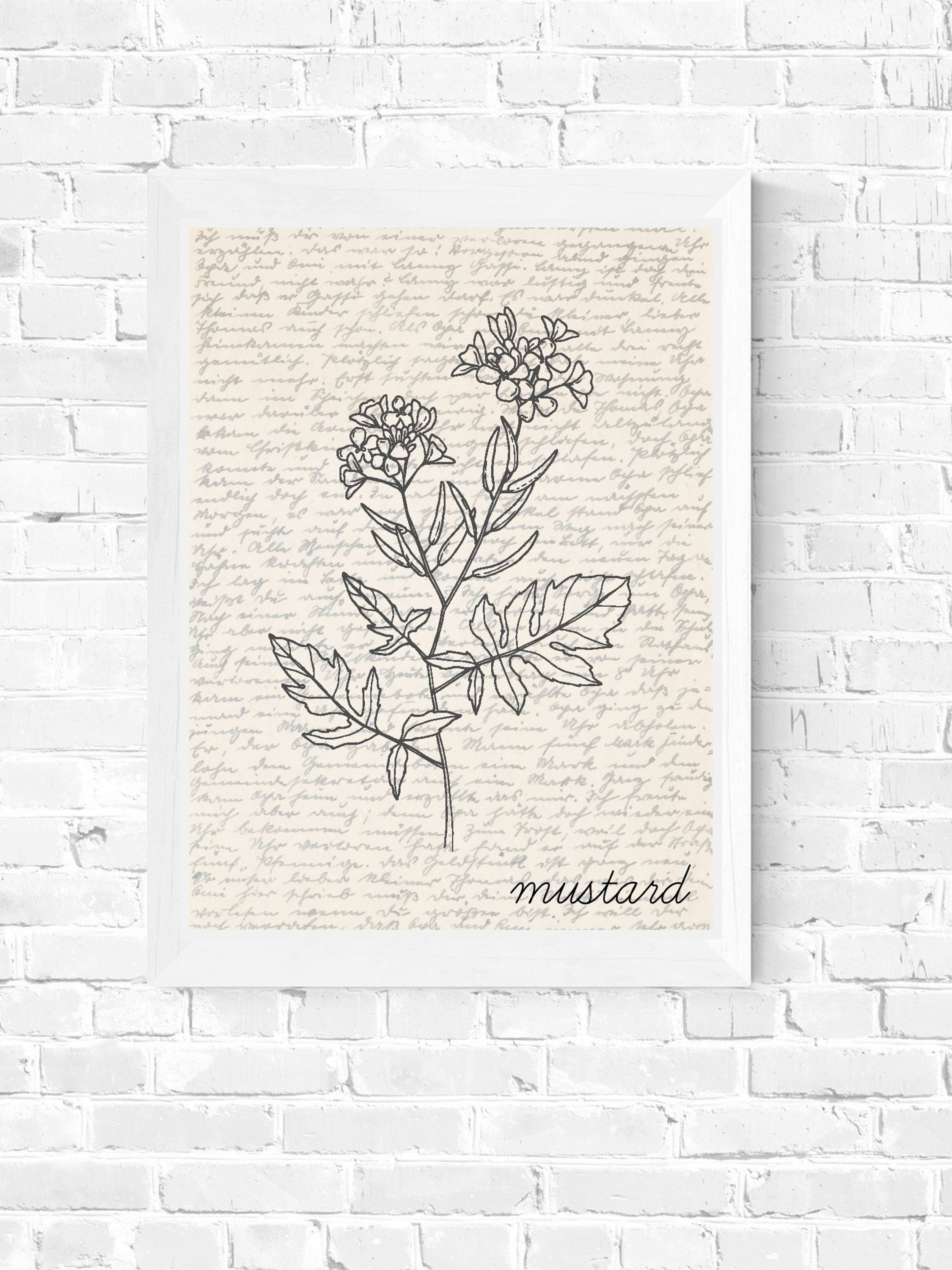 Mustard Wall Art Food Wall Art Mustard Poster Mustard Plant Print