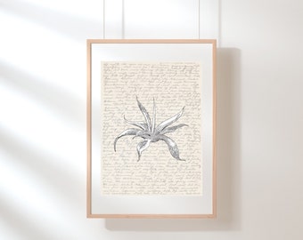 Agave Wall Art | Succulent Wall Art | Agave Poster | Botanical Print | Succulent Illustration | Sketch | Digital Succulent Sketch Wall Art