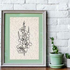May include: A framed black and white line drawing of a flower with a green mat and a white frame. The background of the drawing is a cream color with black script writing.
