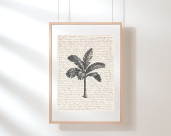Palm Tree Wall Art | Palm Tree Poster | Palm Tree Illustration | Sketch | Digital Palm Tree Print Wall Art | Palm Tree Print | Palm Tree Art