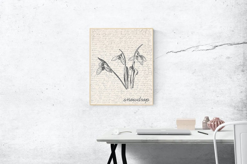 K&ouml;nnte beinhalten: Eine Schwarzwei&szlig;illustration einer Schneegl&ouml;ckchenblume auf cremefarbenem Hintergrund mit dem Wort "snowdrop" unter der Blume.