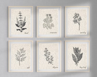 Set of 20 Herb Printables | Kitchen Wall Decor | Herb Sketch Art | Thyme, Oregano, Basil, Sage | Herb Wall Signs | Herb Sketch Poster Art