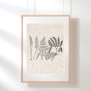 Ferns Wall Art | Ferns Poster | Botanical Print | Fern Illustration | Botanical Wall Art | Sketch | Digital Fern Illustrated Sketch Wall Art