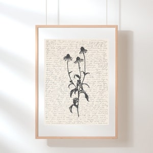 Coneflower Wall Art | Floral Wall Art | Wildflower Print | Echinacea Illustration | Sketch | Digital Floral Art | Coneflower Echinacea Print